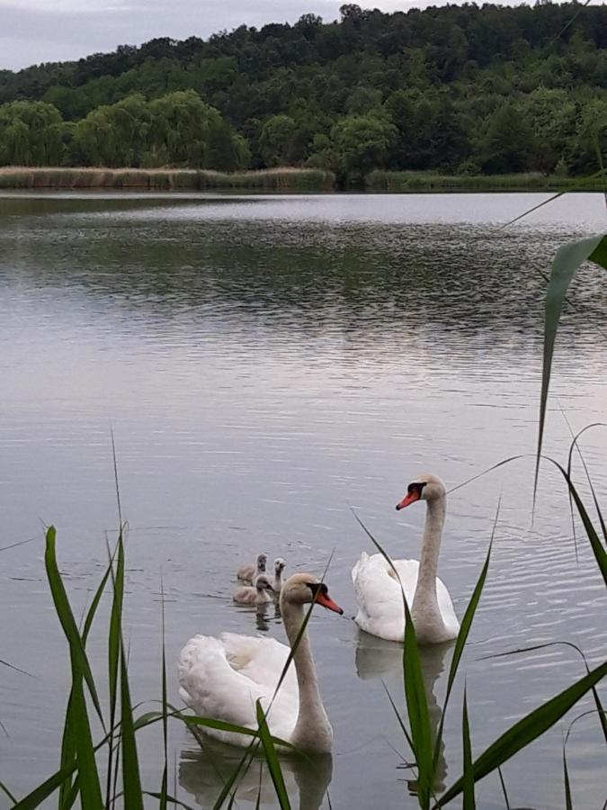 Goecsej Voelgye Kemping Kustanszeg Bagian luar foto